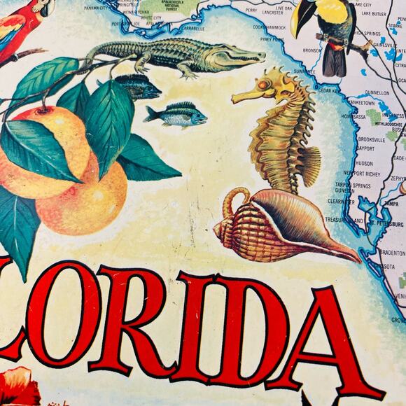 Vintage Florida Round Metal Tin Sourvenir Travel Map Trays Retro Decor 10.5" GUC - Picture 9 of 11